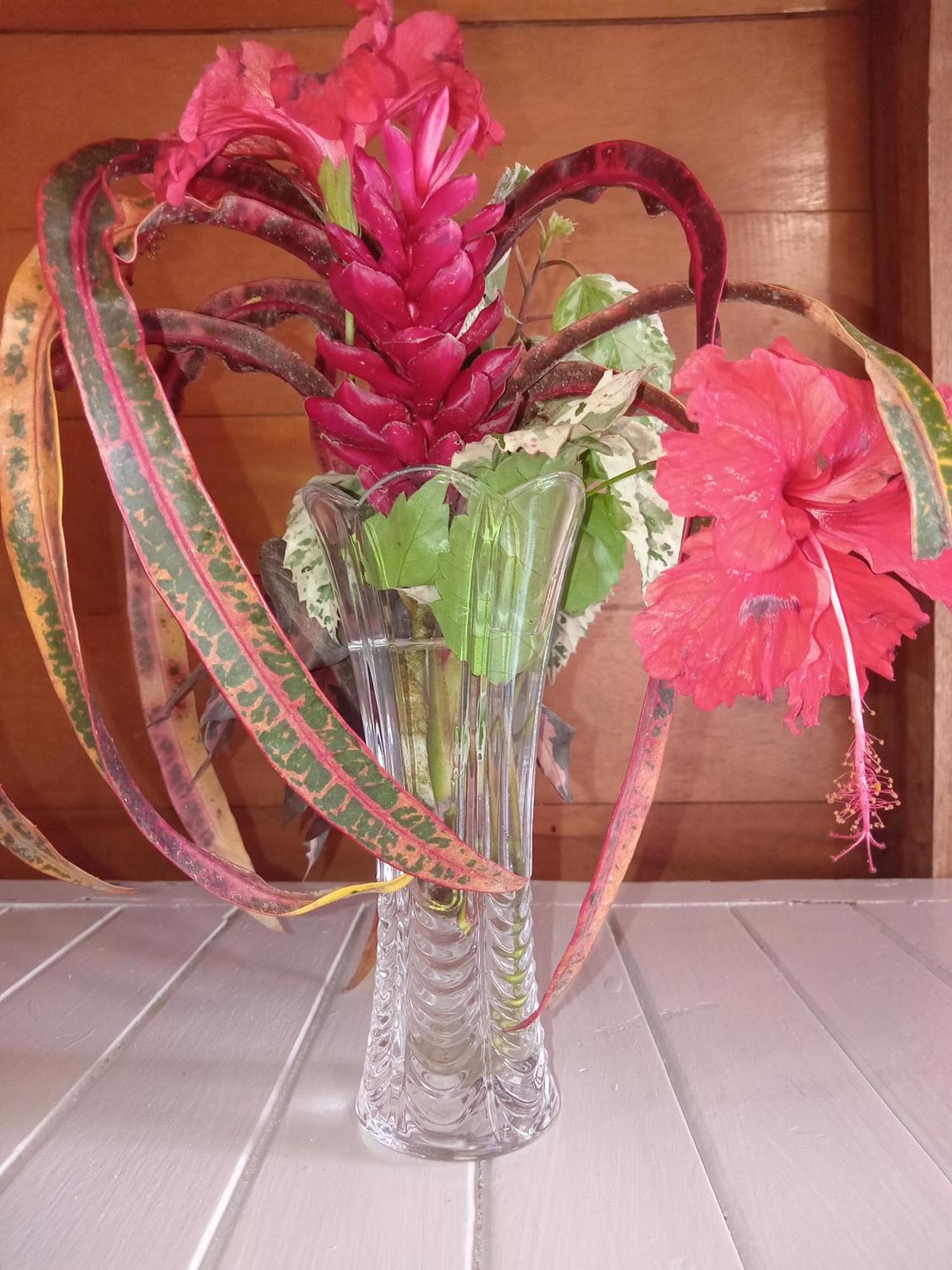 Bahia Del Sol Privatunterkunft Bocas del Toro